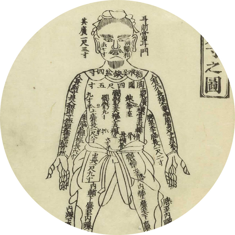 The Eight Extraordinary Meridians (Qi Jing Ba Mai) – Picture 1