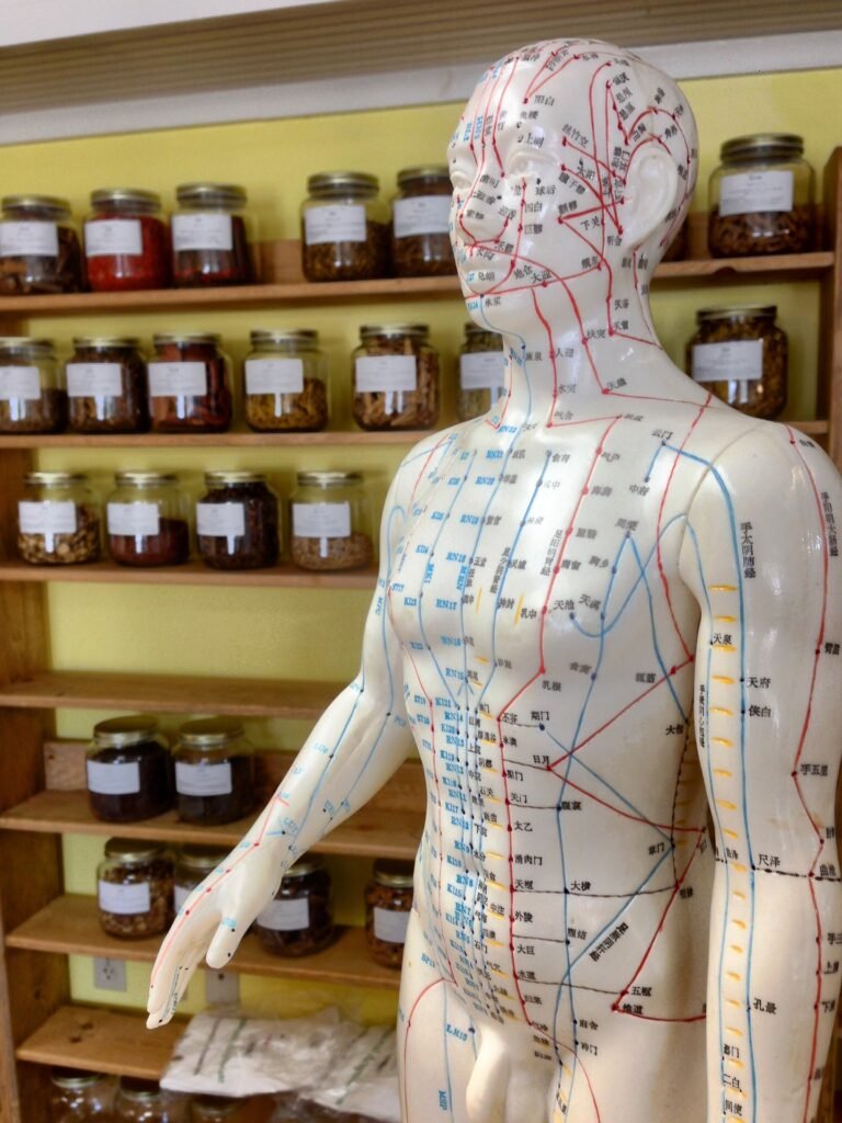 Atlas of Acupoints and Meridians – Picture 1