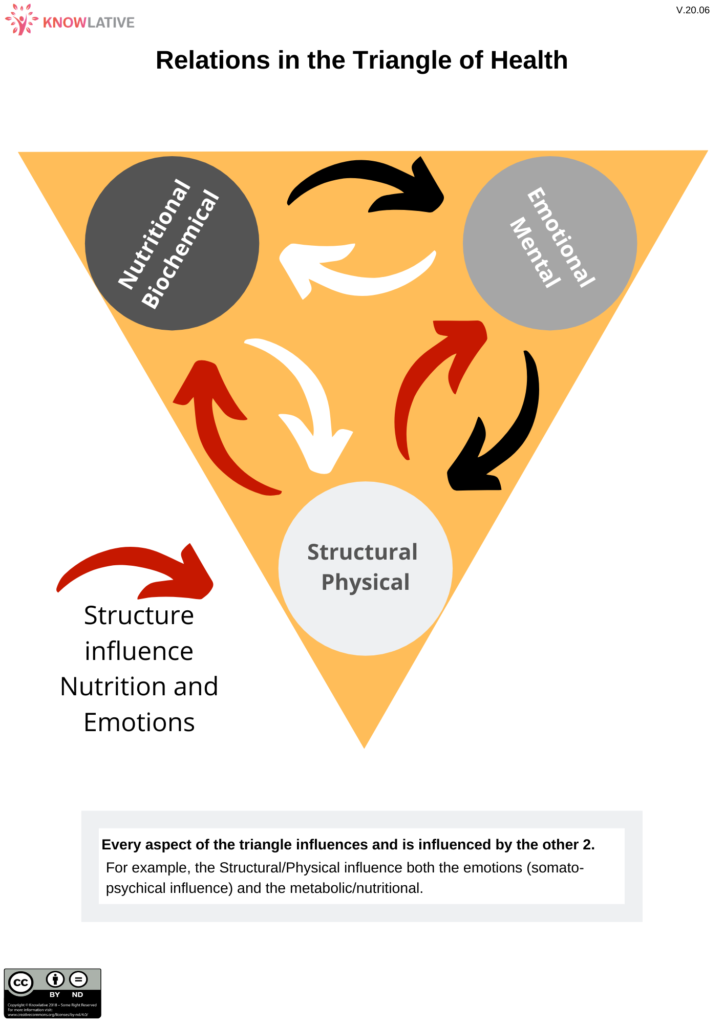Triangle of Health – Picture 2