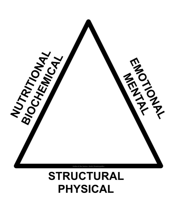 Triangle of Health – Picture 3