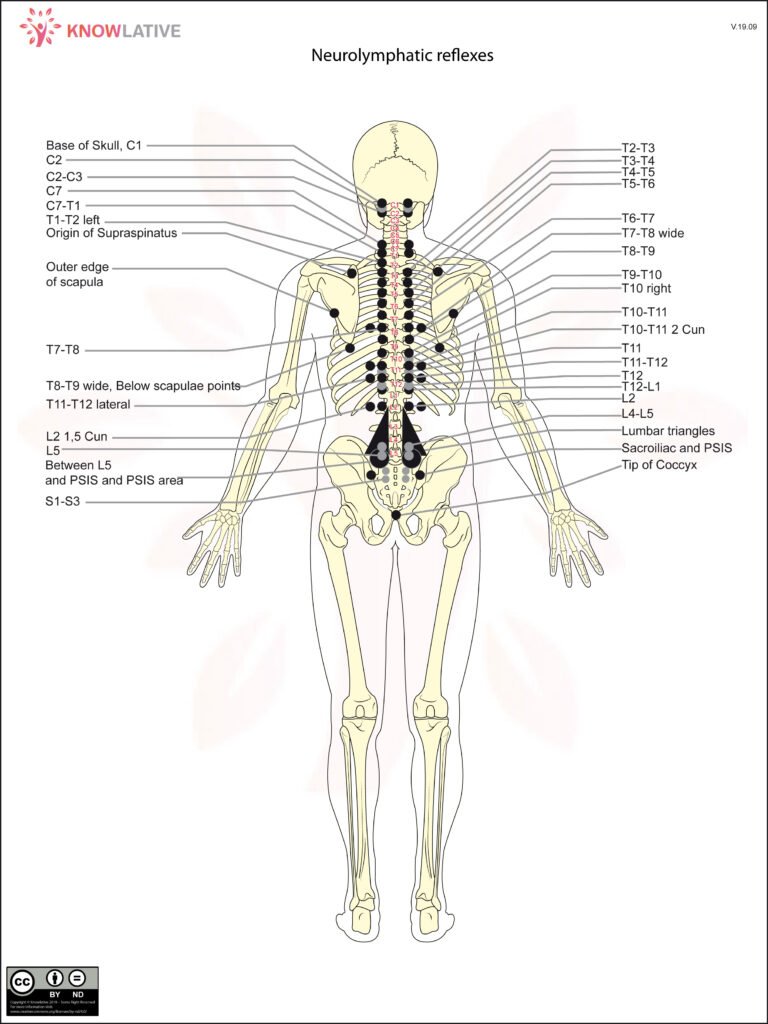 Neurolymphatic Reflexes – Picture 2